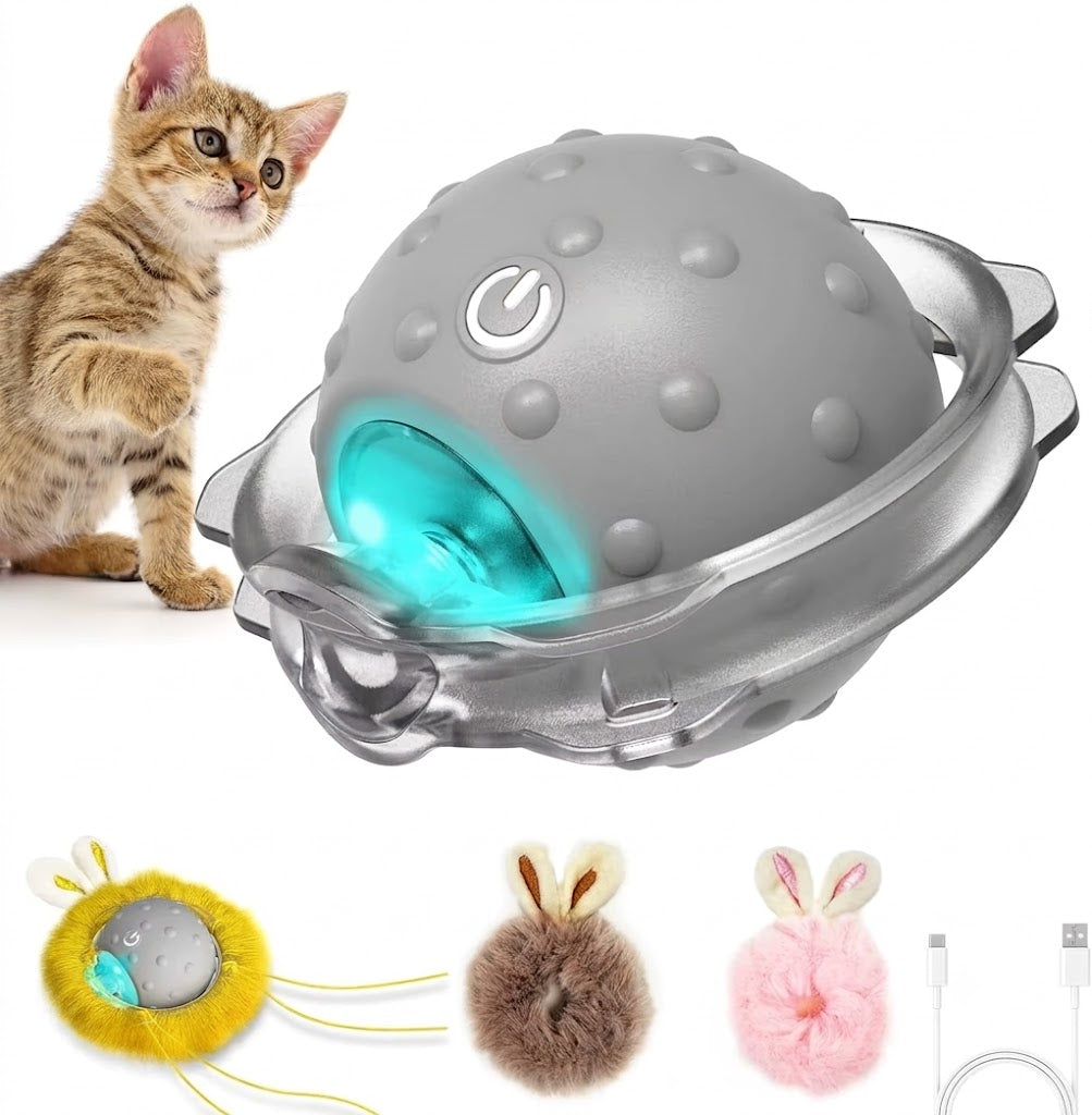 Brinquedos Interativos para Gatos