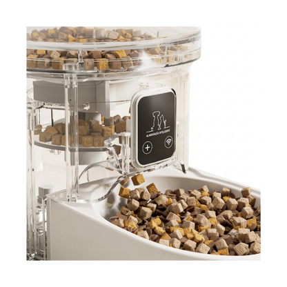 Novo Alimentador Automático de Animais de Estimação
