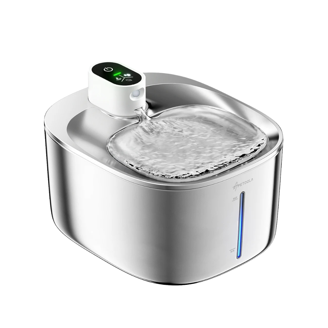 Bebedor de água sensor automático para pets