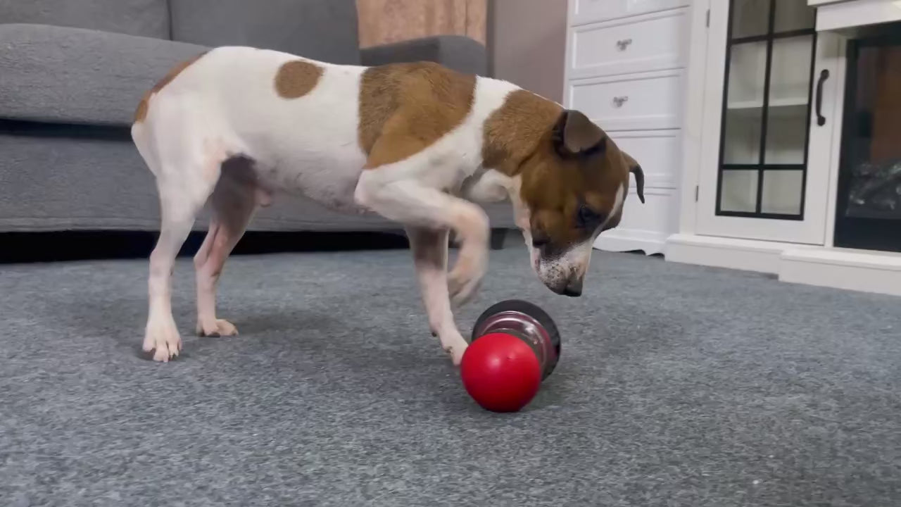 Brinquedo dispensador de petiscos
