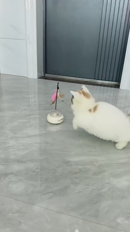 Brinquedo Elétrico para Gatos